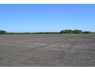 Property photo 6 - 156.9+/- Acres For Sale - Cropland, Woods for Hunting/Recreational & Potential Building Sites